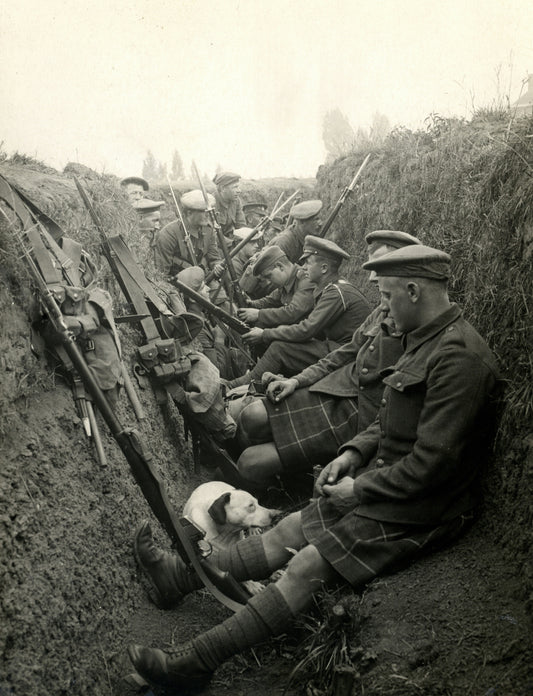 HELP SUPPORT BRITISH VETERANS