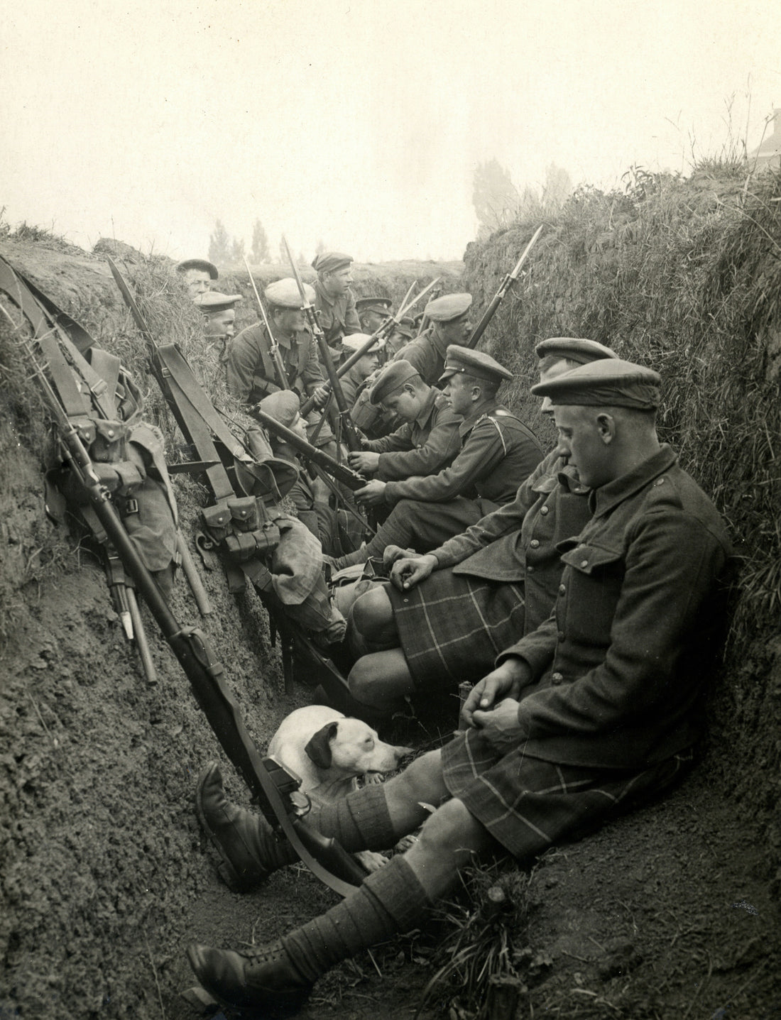 HELP SUPPORT BRITISH VETERANS